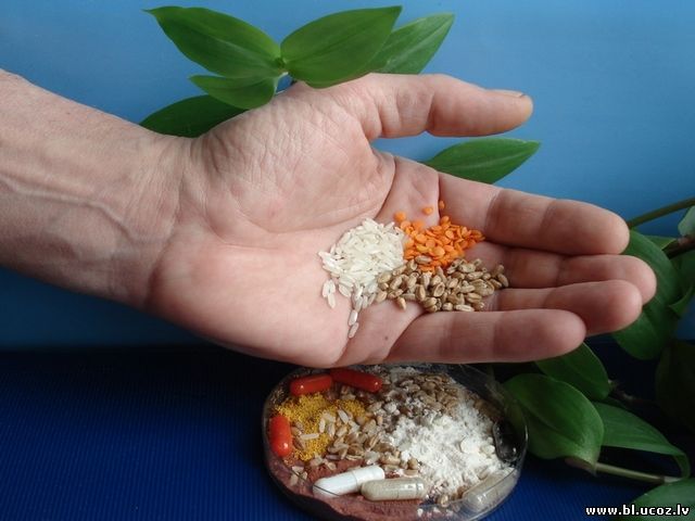 Лаборатория Бионанофизики Органические наночастицы Символ познания